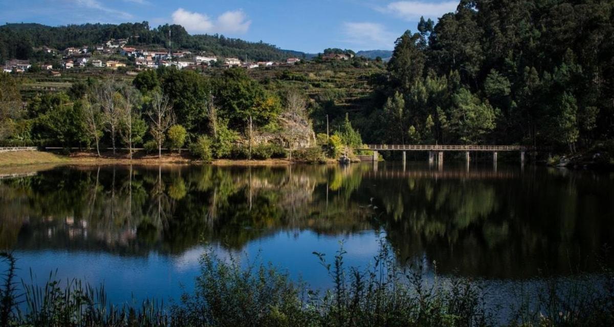 Trebid'Ouro Villa Vale de Cambra Buitenkant foto